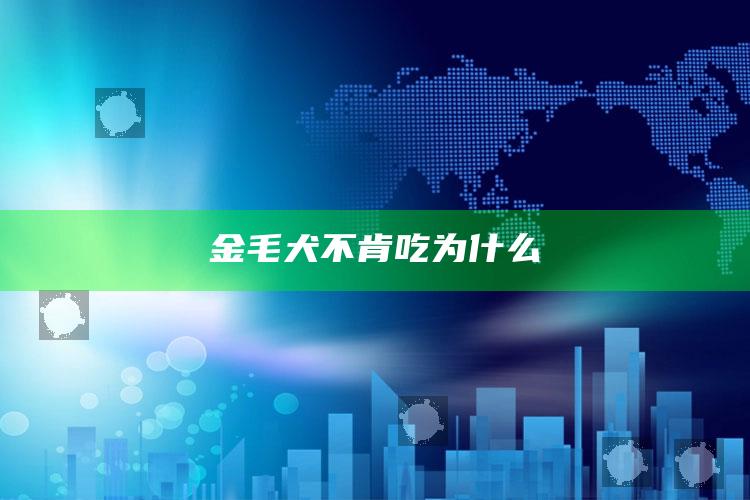金毛犬不肯吃为什么