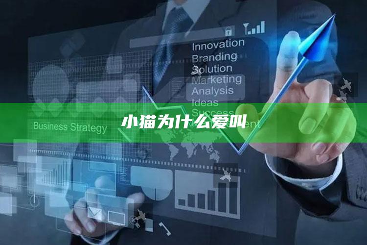小猫为什么爱叫