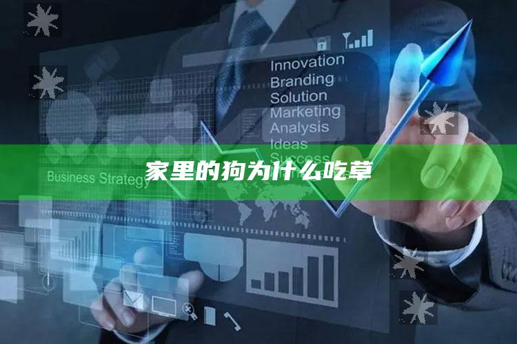 家里的狗为什么吃草