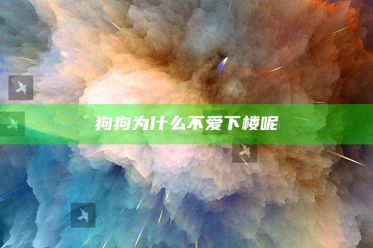 狗狗为什么不爱下楼呢