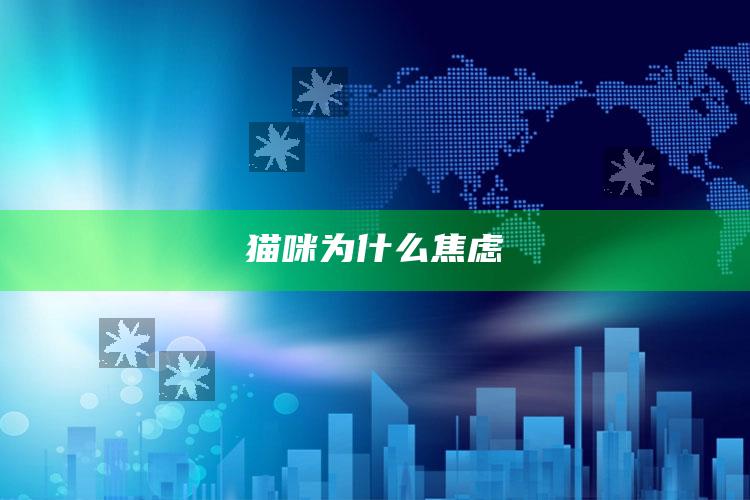 猫咪为什么焦虑