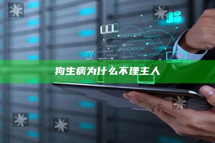 狗生病为什么不理主人
