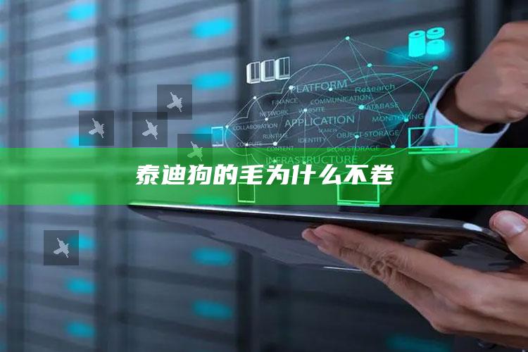 泰迪狗的毛为什么不卷