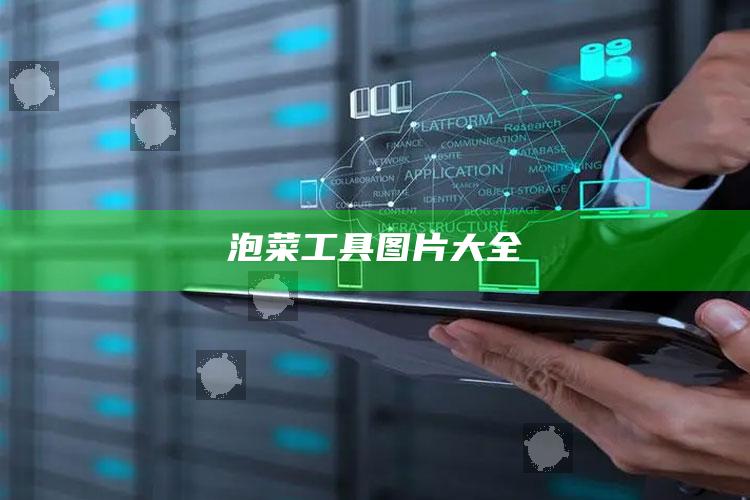 泡菜工具图片大全
