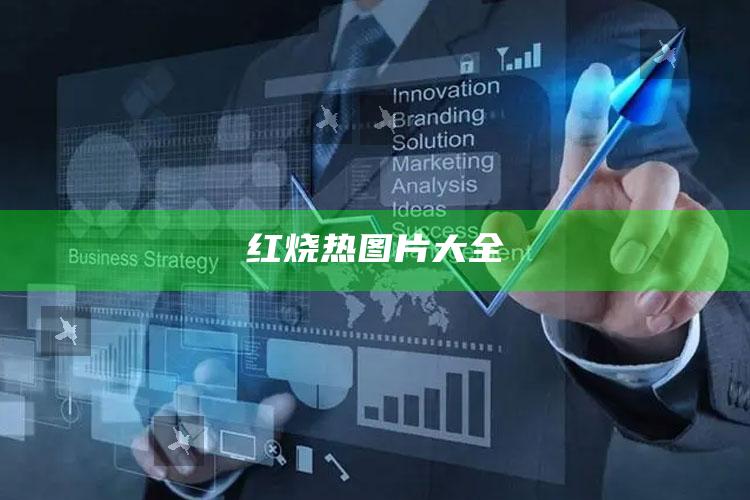 红烧热图片大全