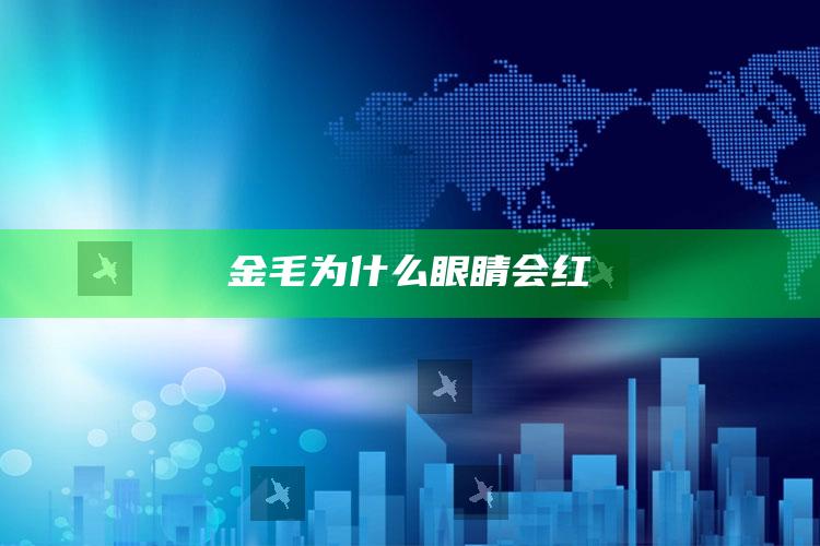 金毛为什么眼睛会红