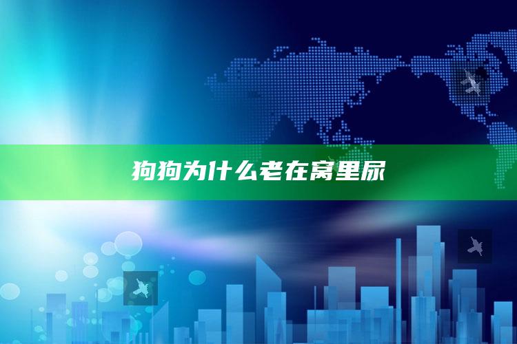 狗狗为什么老在窝里尿