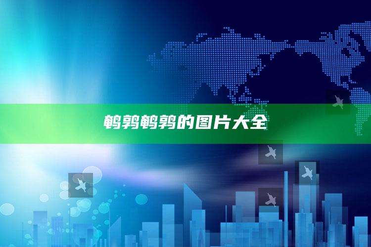 鹌鹑鹌鹑的图片大全