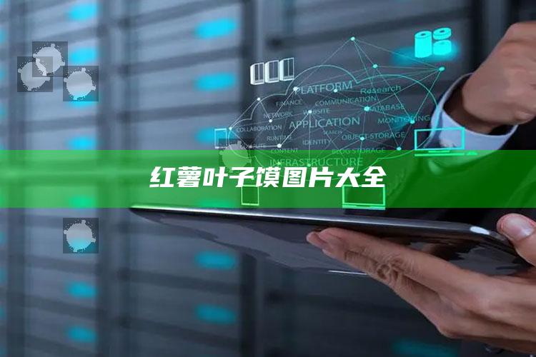 红薯叶子馍图片大全
