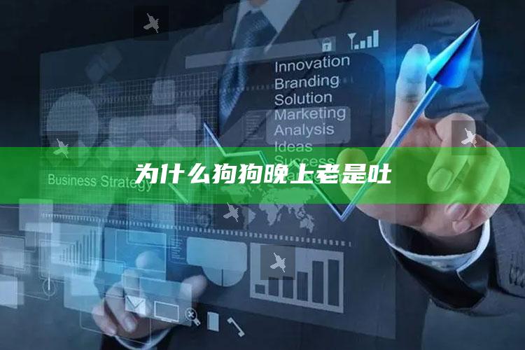 为什么狗狗晚上老是吐