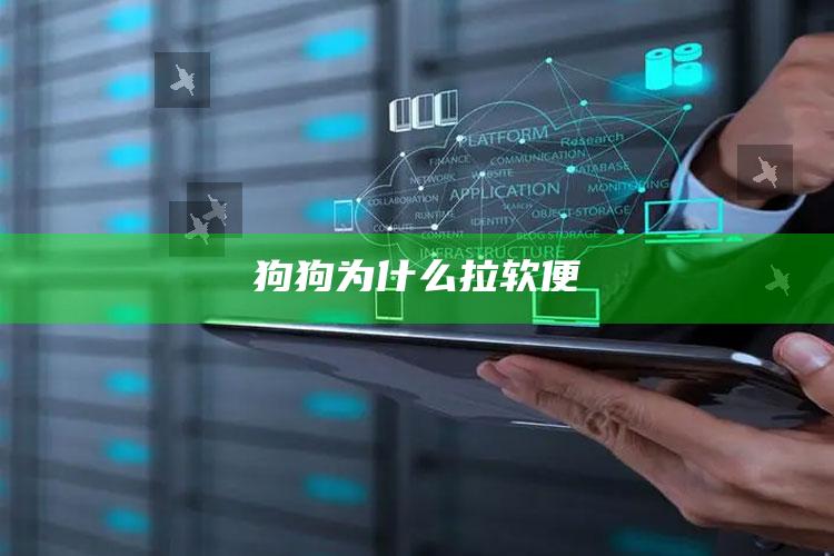 狗狗为什么拉软便