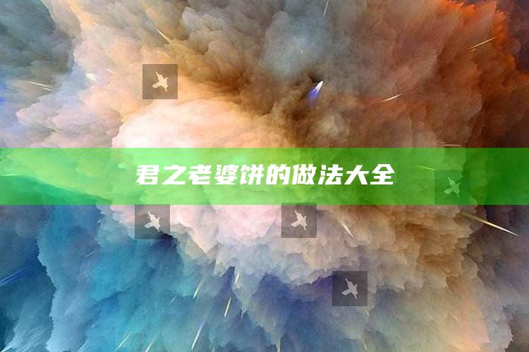 君之老婆饼的做法大全