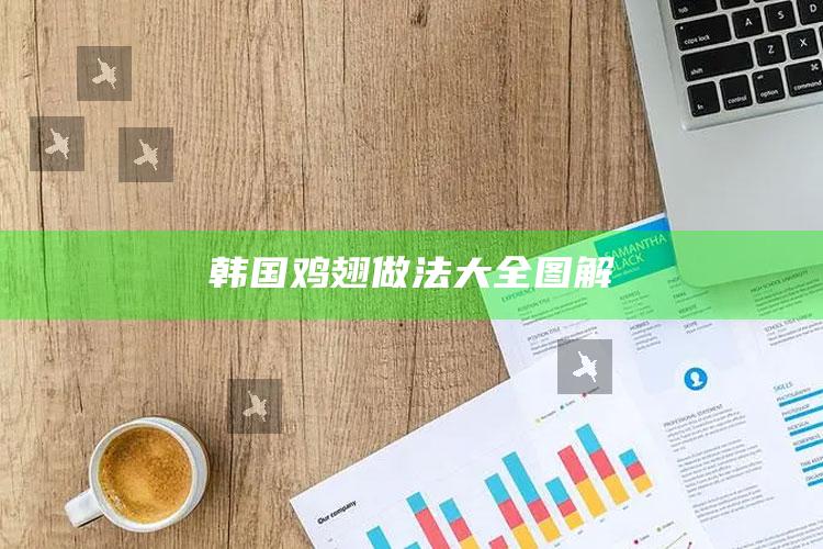 韩国鸡翅做法大全图解