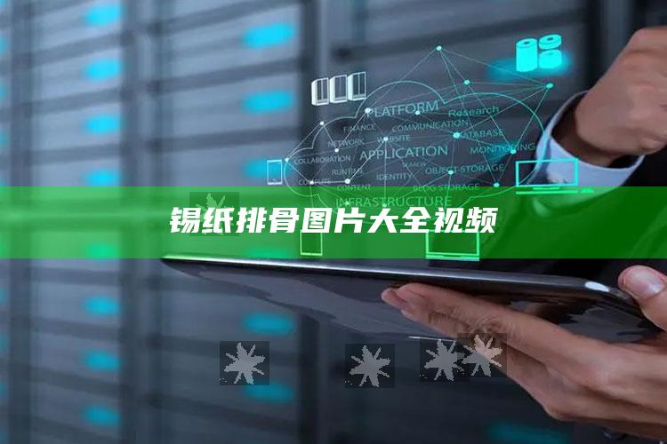 锡纸排骨图片大全视频