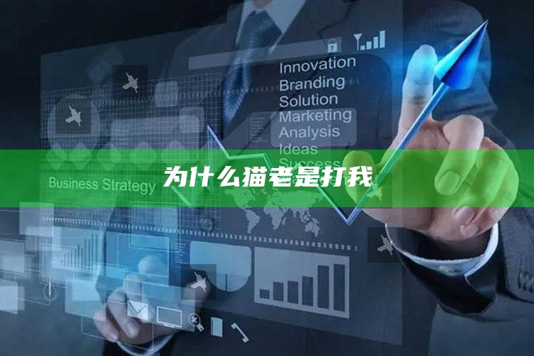 为什么猫老是打我