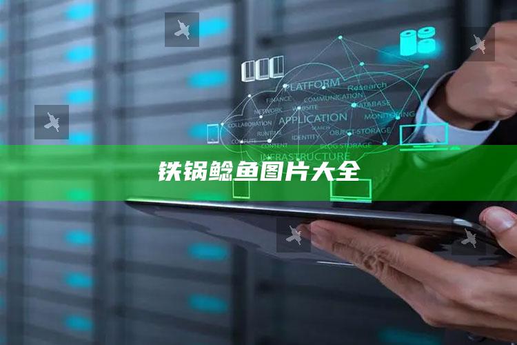 铁锅鲶鱼图片大全