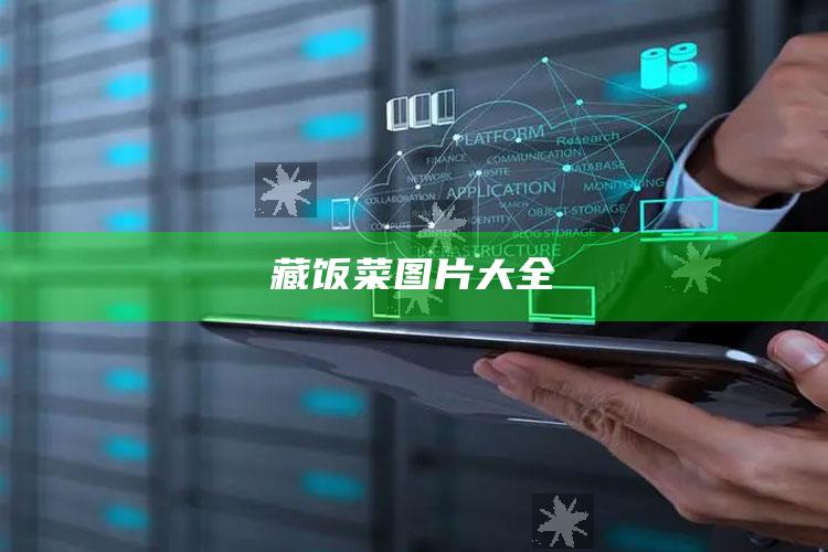 藏饭菜图片大全