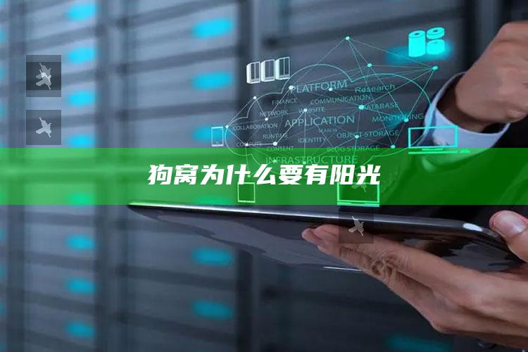 狗窝为什么要有阳光