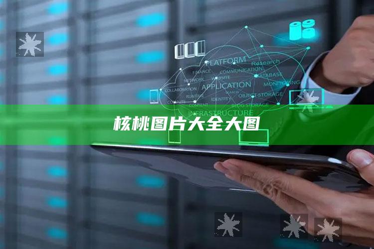 核桃图片大全大图