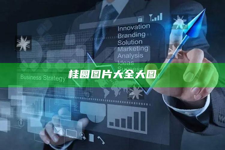 桂圆图片大全大图