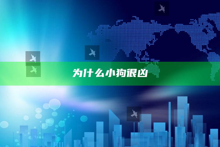 为什么小狗很凶
