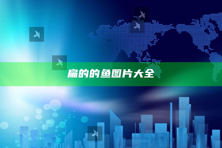 扁的的鱼图片大全
