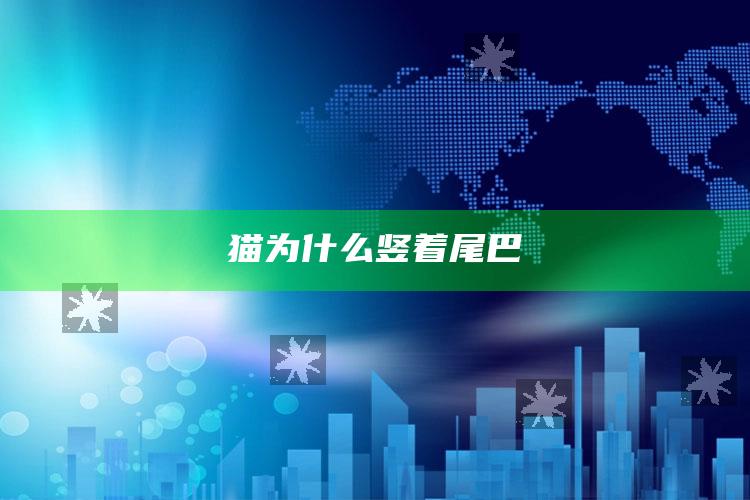 猫为什么竖着尾巴