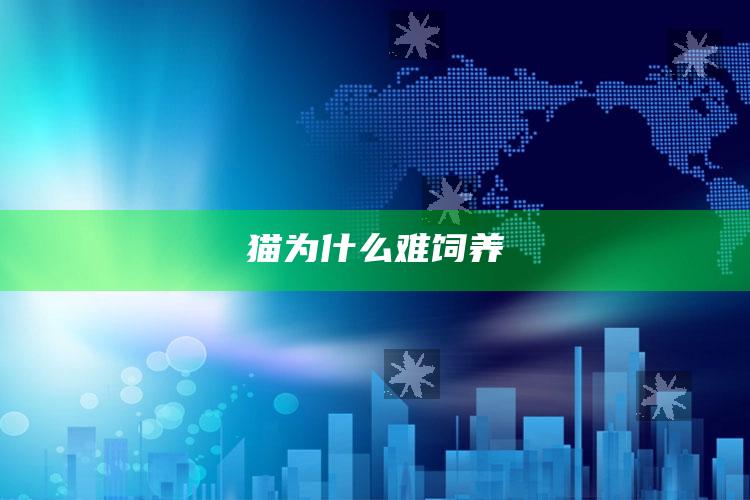 猫为什么难饲养