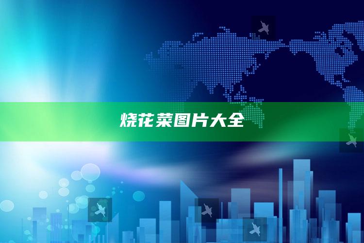 烧花菜图片大全