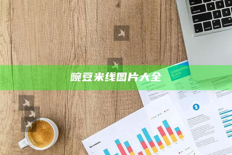 豌豆米线图片大全