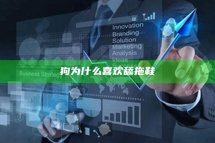 狗为什么喜欢舔拖鞋