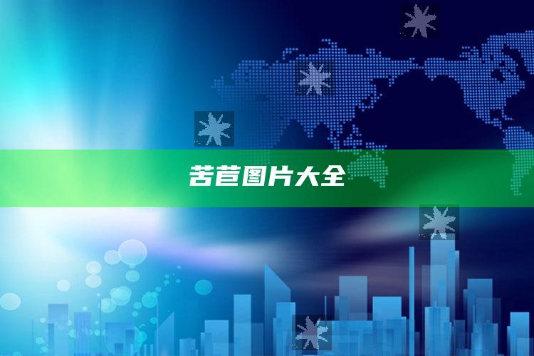 苦苣图片大全