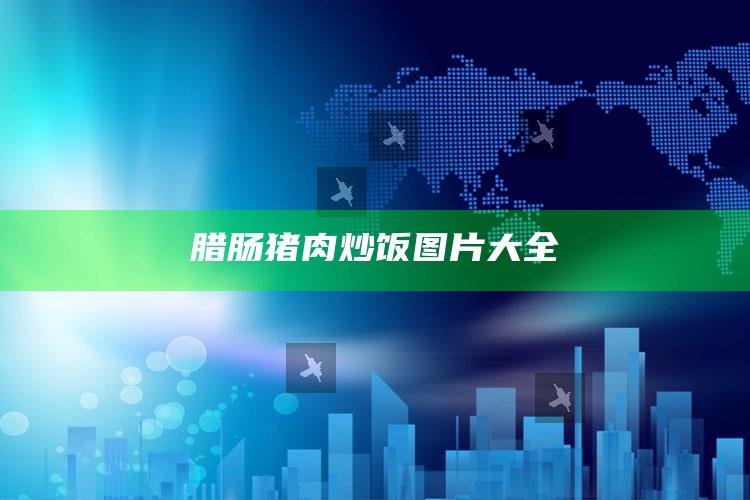 腊肠猪肉炒饭图片大全