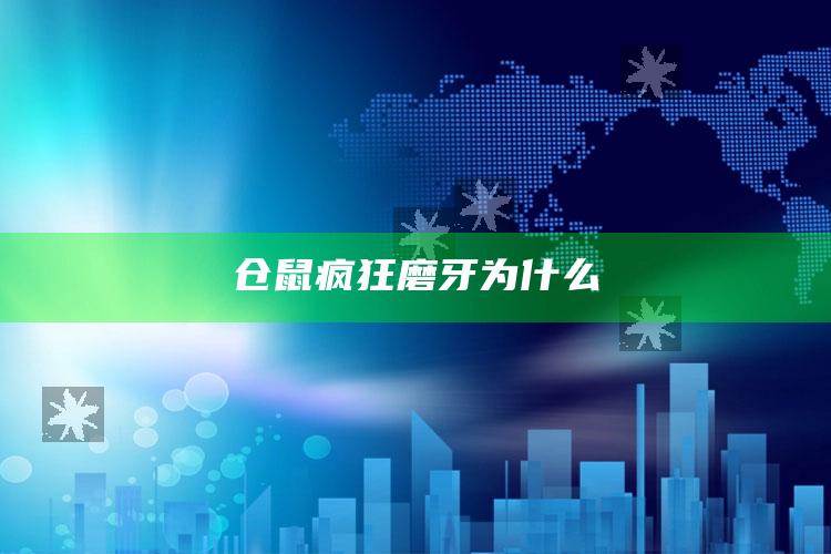 仓鼠疯狂磨牙为什么