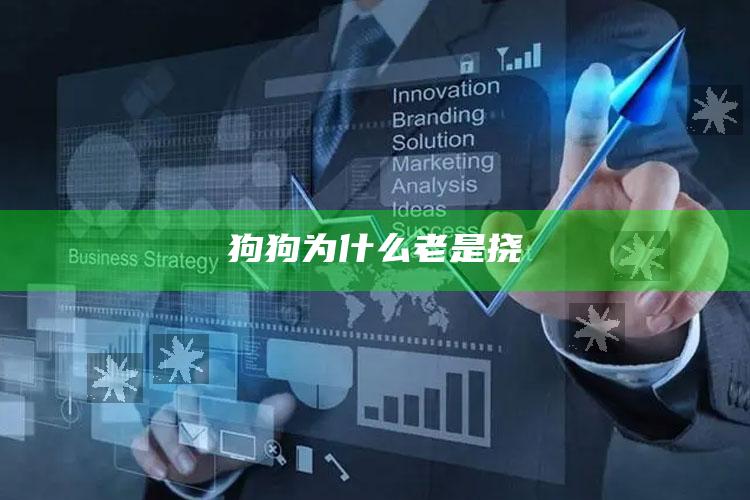 狗狗为什么老是挠