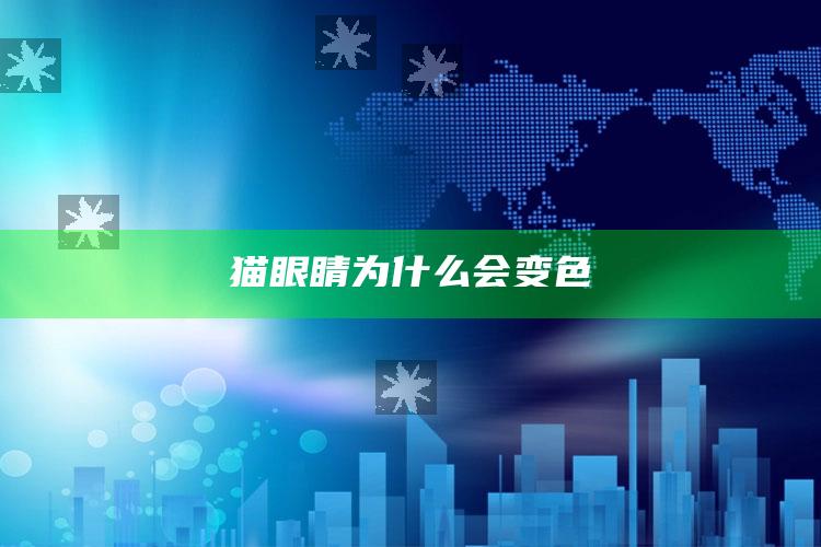 猫眼睛为什么会变色