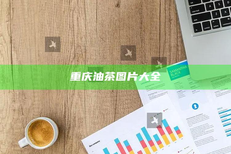重庆油茶图片大全