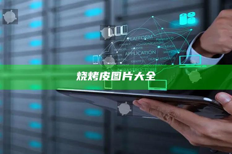 烧烤皮图片大全