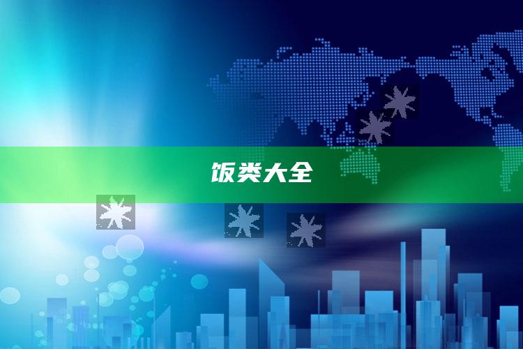 饭类大全