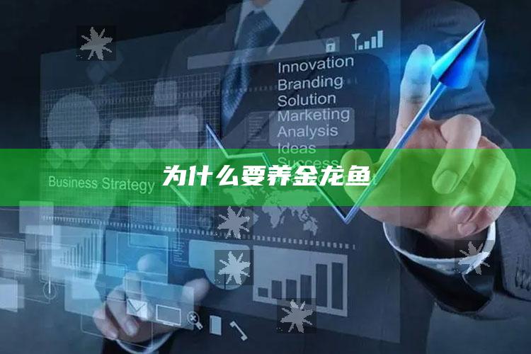 为什么要养金龙鱼