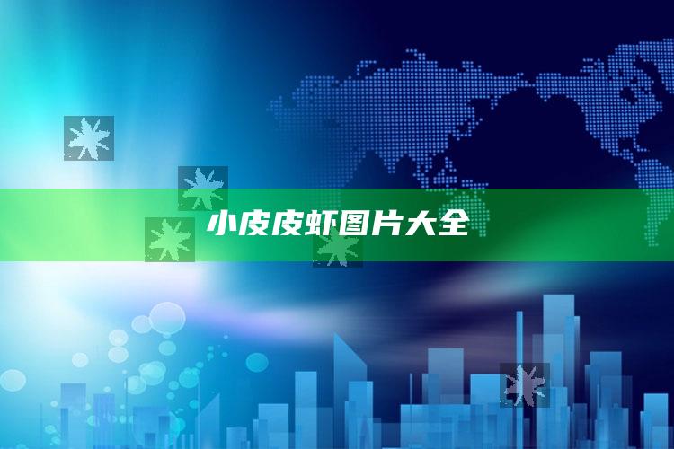 小皮皮虾图片大全