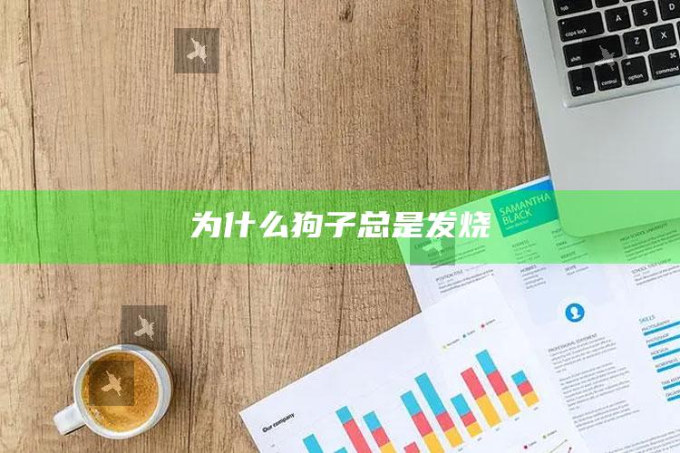 为什么狗子总是发烧