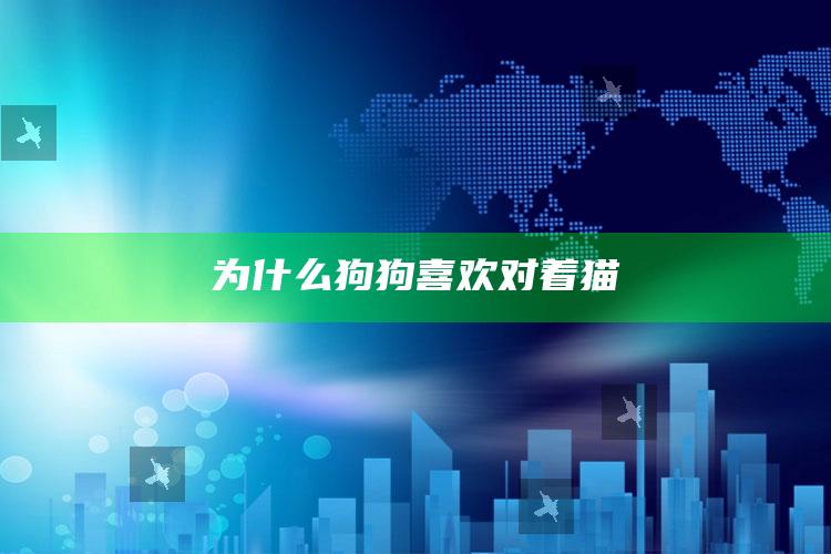 为什么狗狗喜欢对着猫
