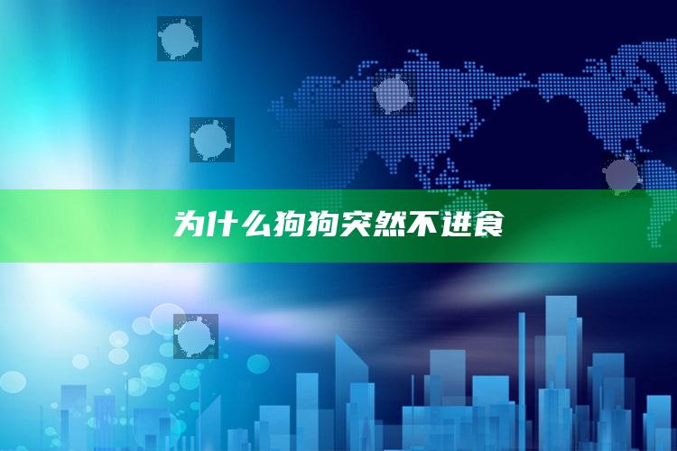 为什么狗狗突然不进食