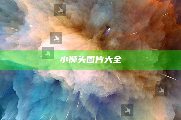 小狮头图片大全