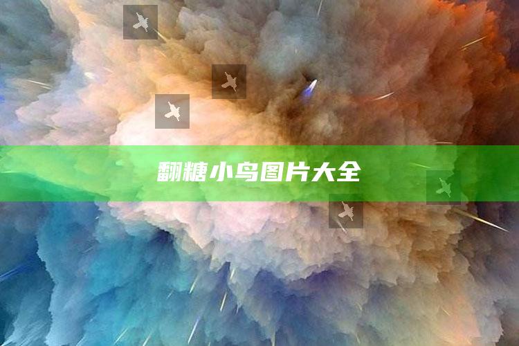 翻糖小鸟图片大全