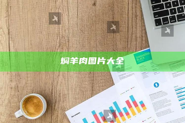 焖羊肉图片大全