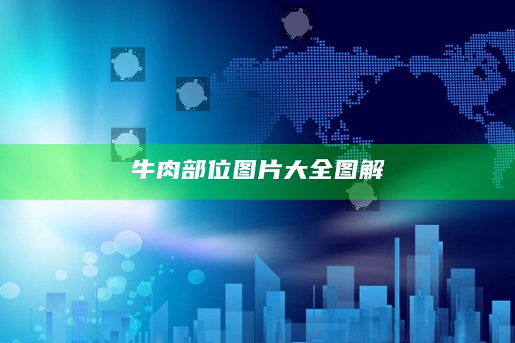 牛肉部位图片大全图解