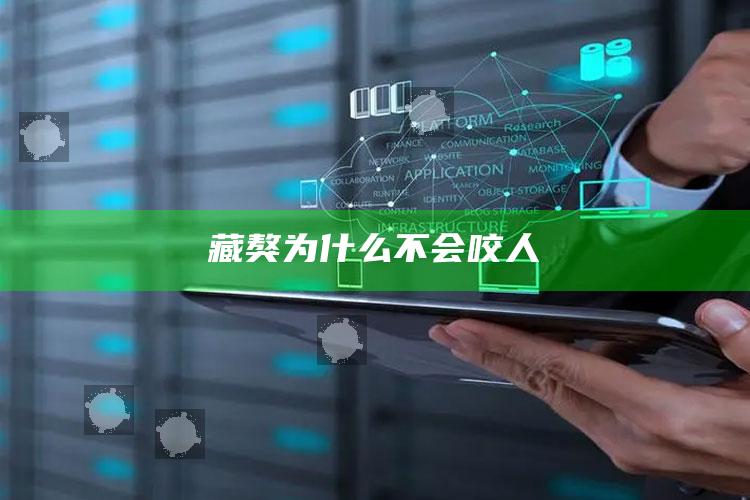 藏獒为什么不会咬人