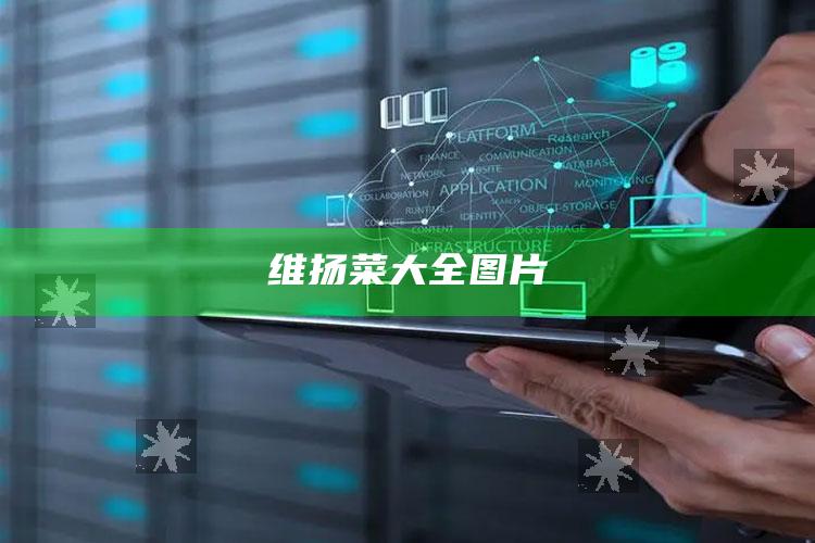 维扬菜大全图片